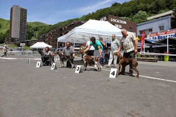 Du pas des cabanelles - N.E. Super Besse 2014